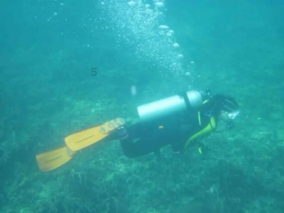 了解结婚不久就离婚和一直嫁不出去相比,哪个更让人觉得可怜?知识星球 | 深入了解结婚不久就离婚和一直嫁不出去相比,哪个更让人觉得可怜?的专业平台